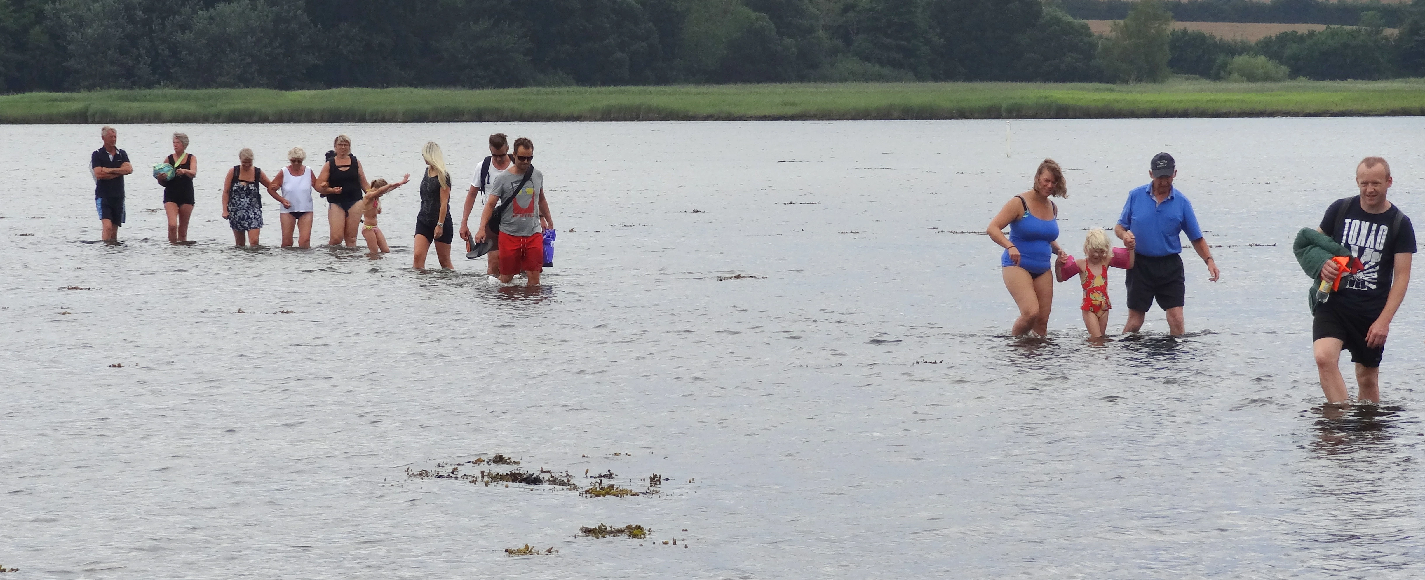 Todo